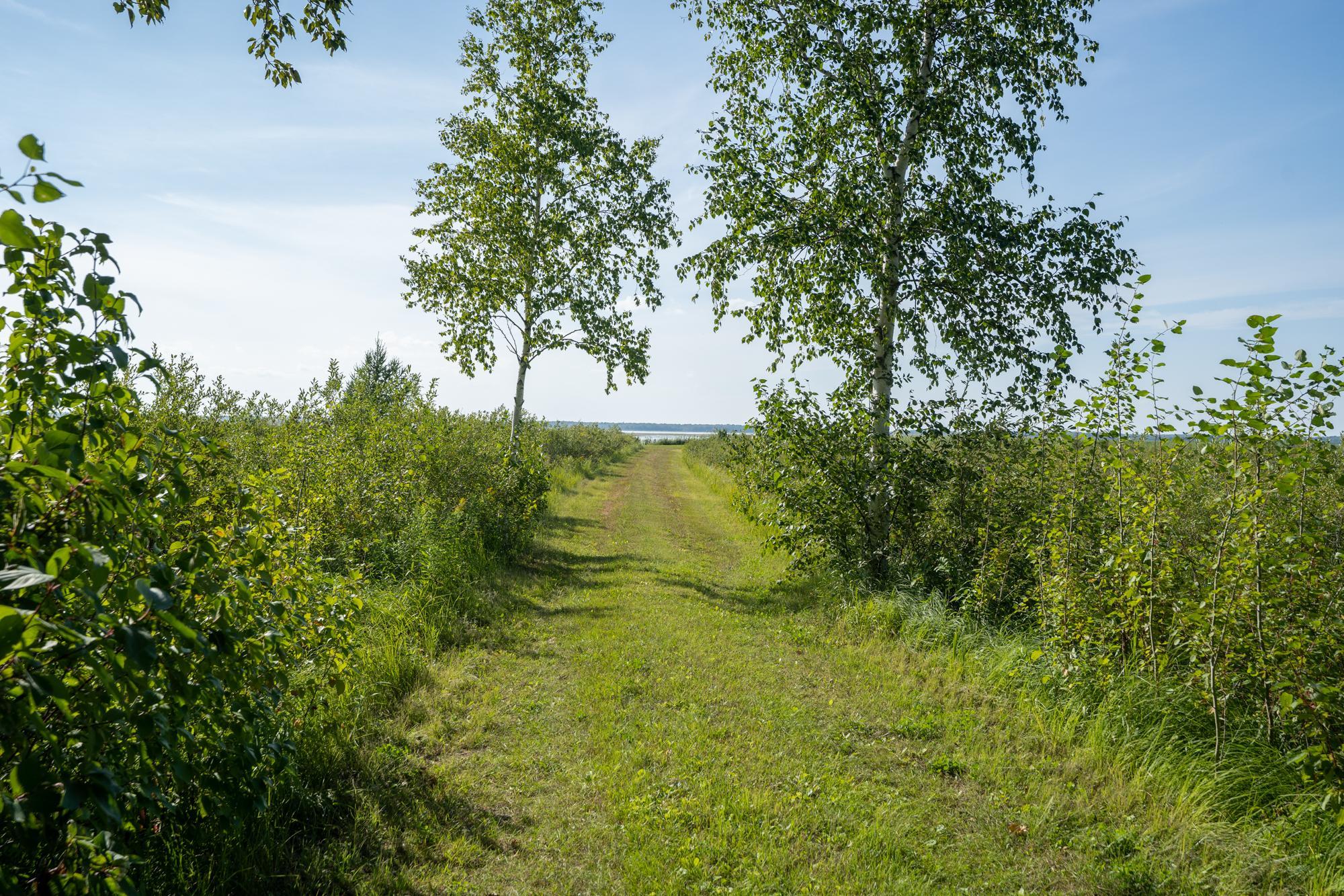 Path to Lake.jpg