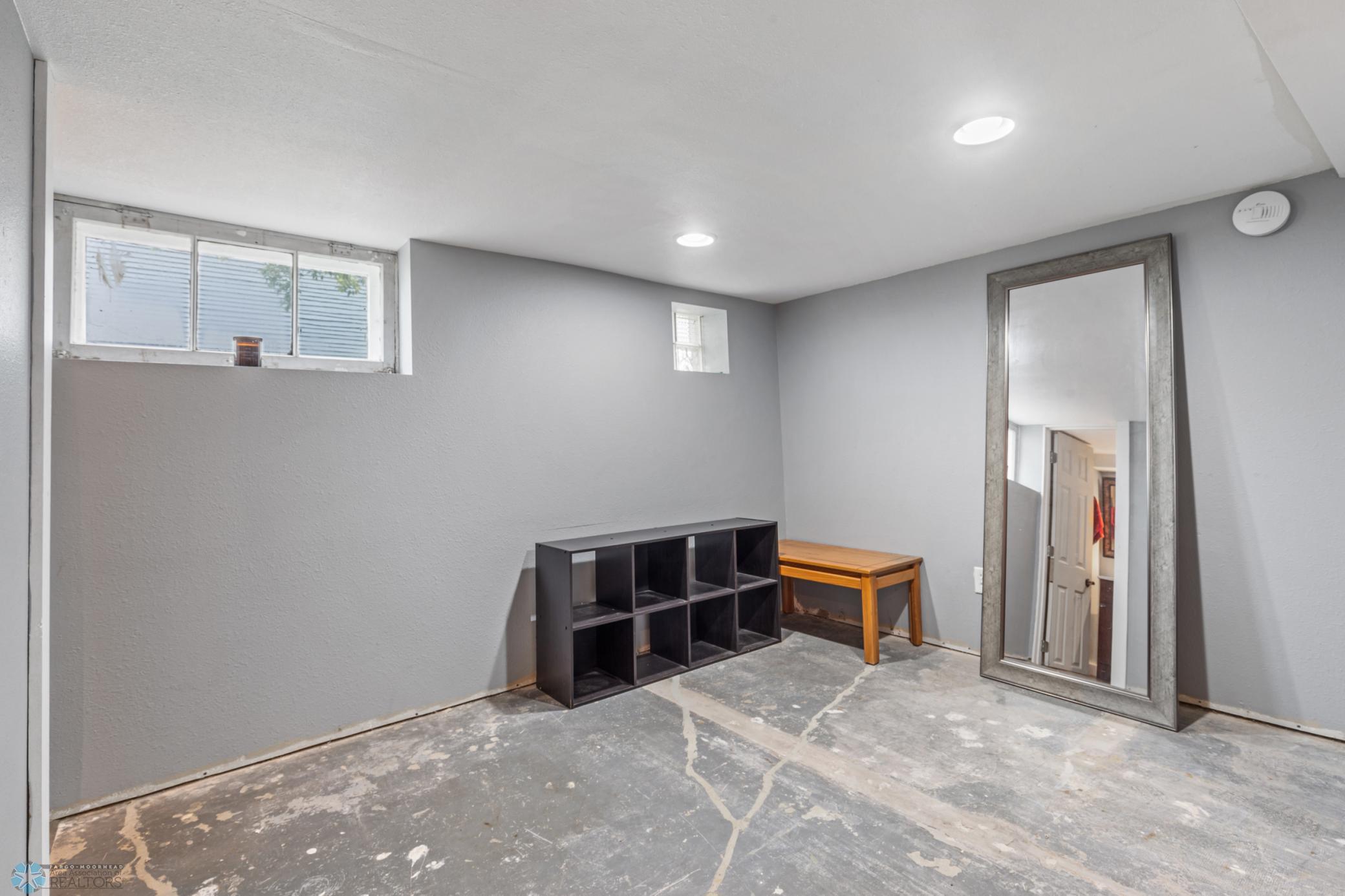 Basement Family Room/ Flex Room