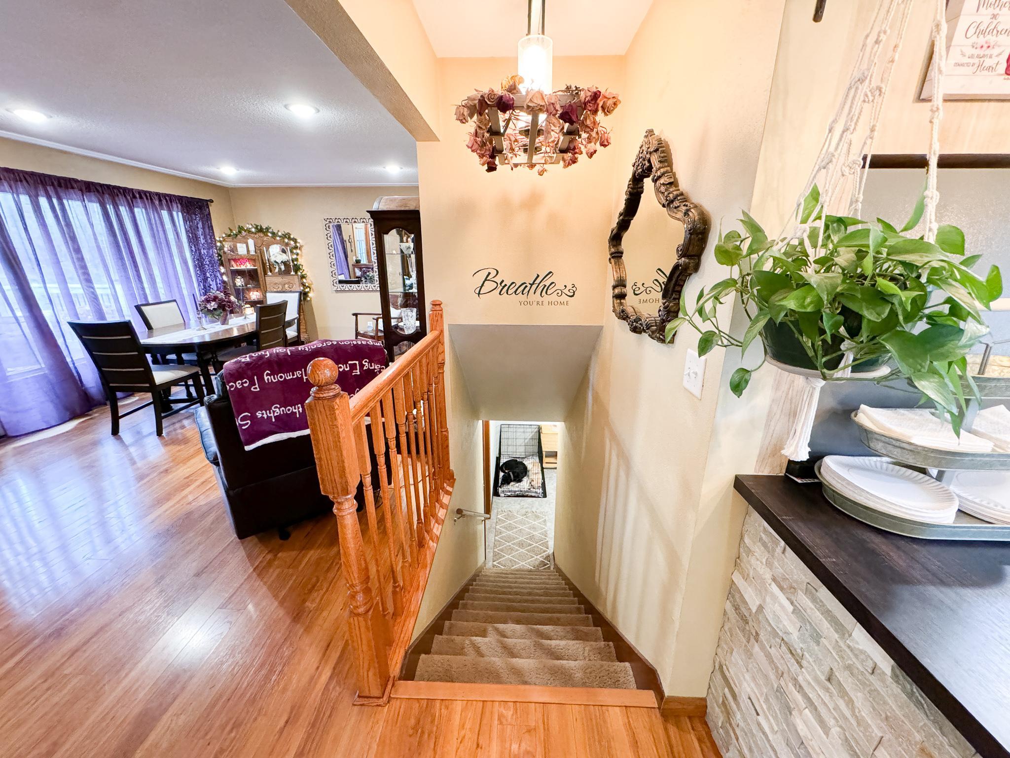 Stairs to Lower Level.jpg