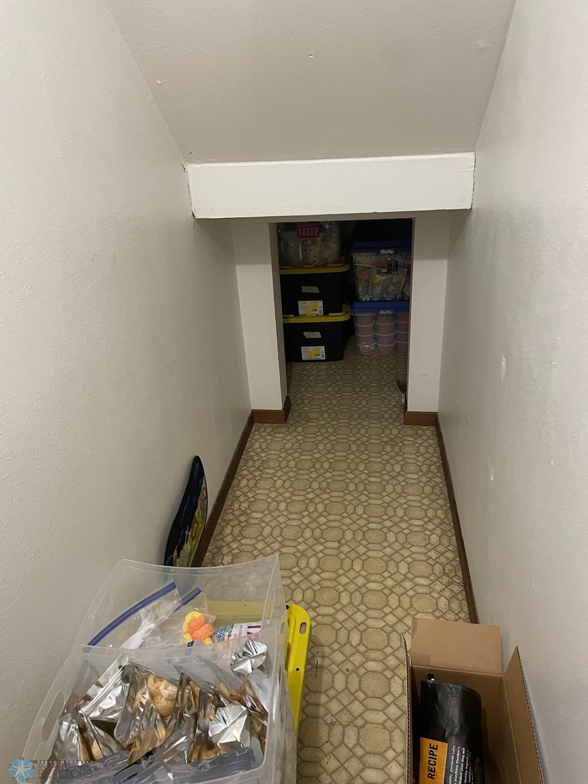 Under Stairs Storage