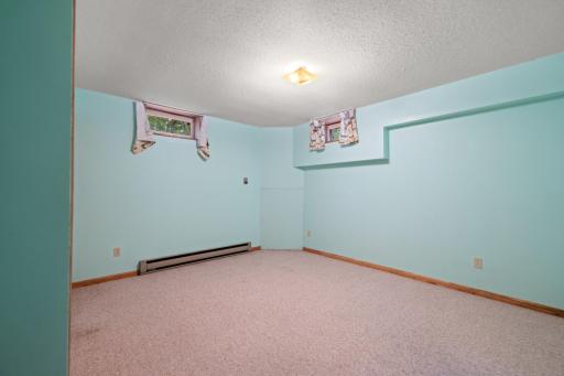 Basement flex room could be future bedroom potential