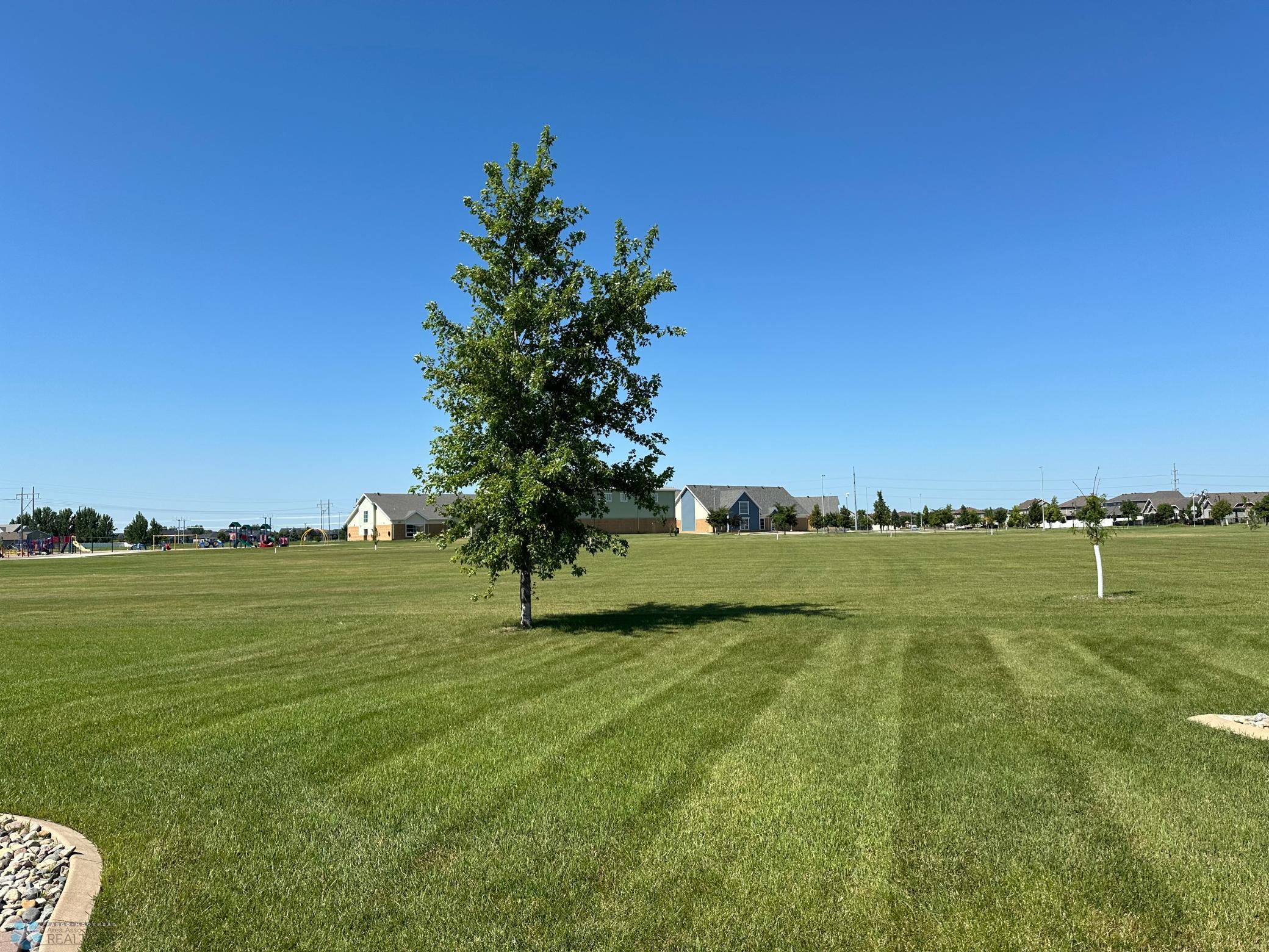 open Back Yard