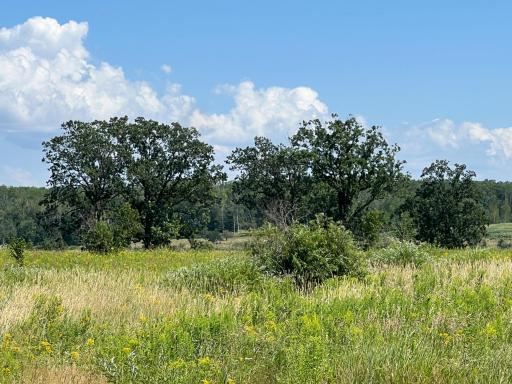 000 Harbor Street, Isle, MN 56342