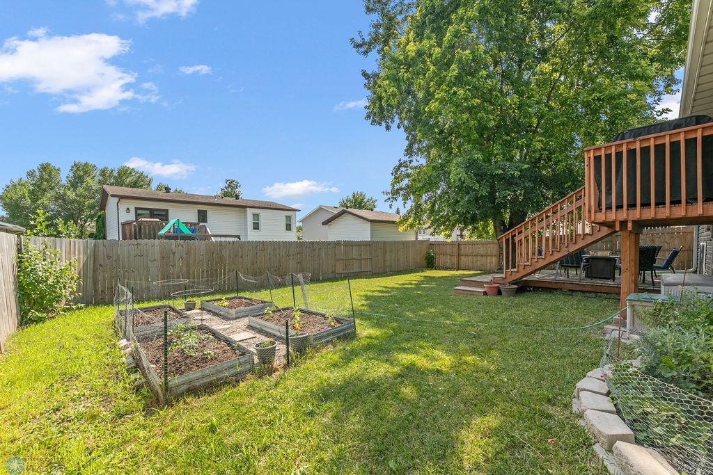 Backyard 1