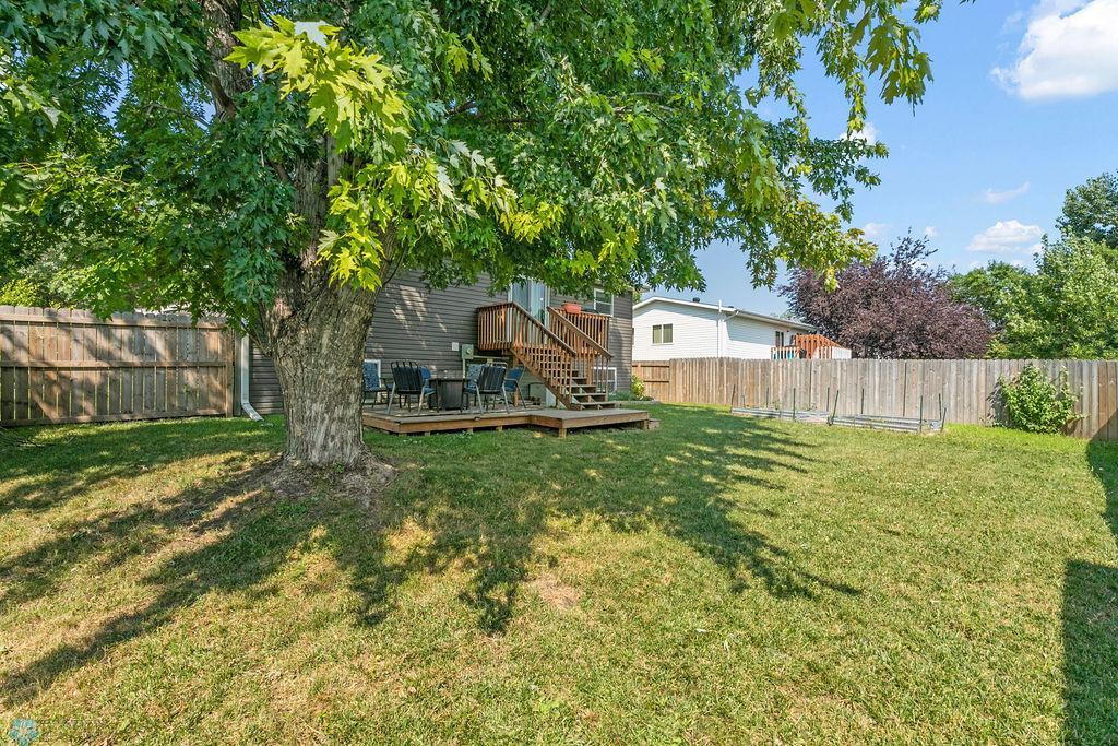 Backyard 4