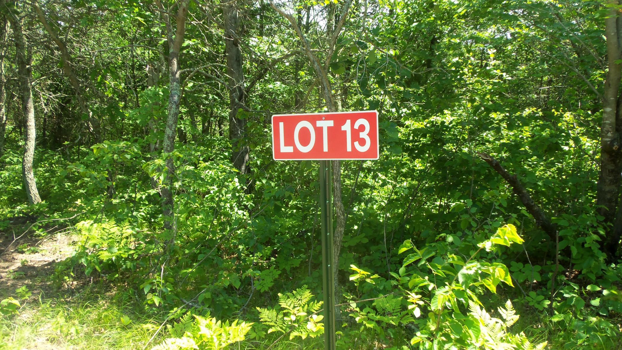 100_5390.JPG