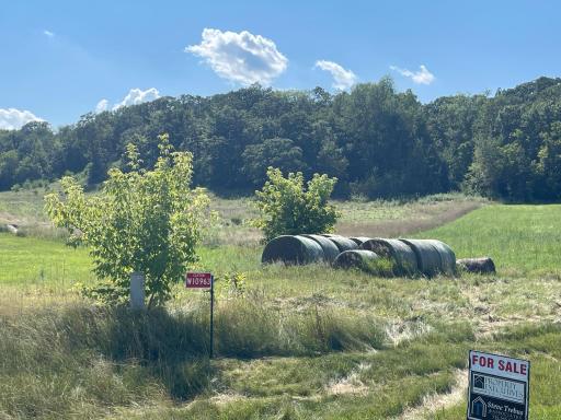 W10963 744th Avenue, River Falls, WI 54022