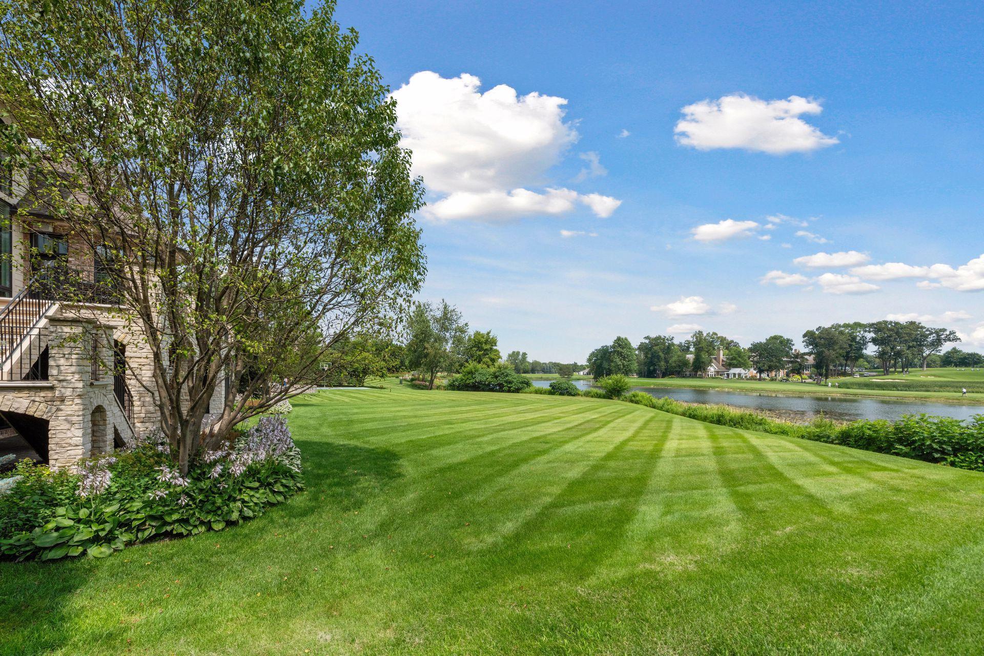 Splendor in the grass...