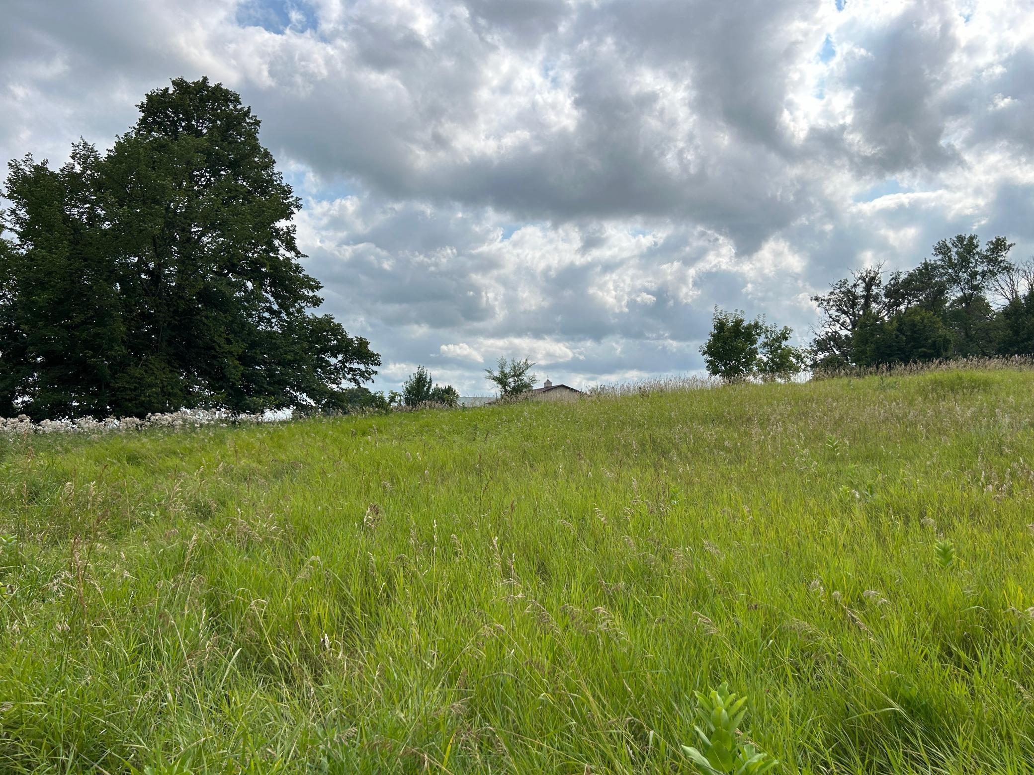 5 Acres Of Developable Space.JPG
