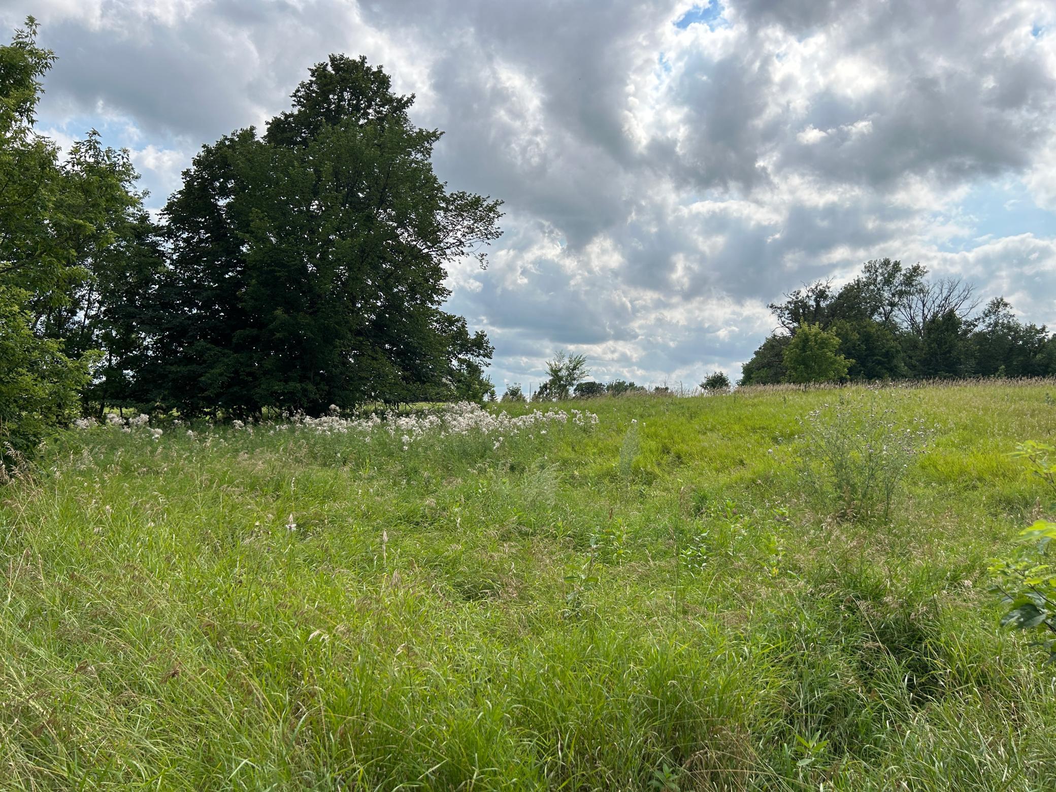 5+ Acre Back Lot.JPG