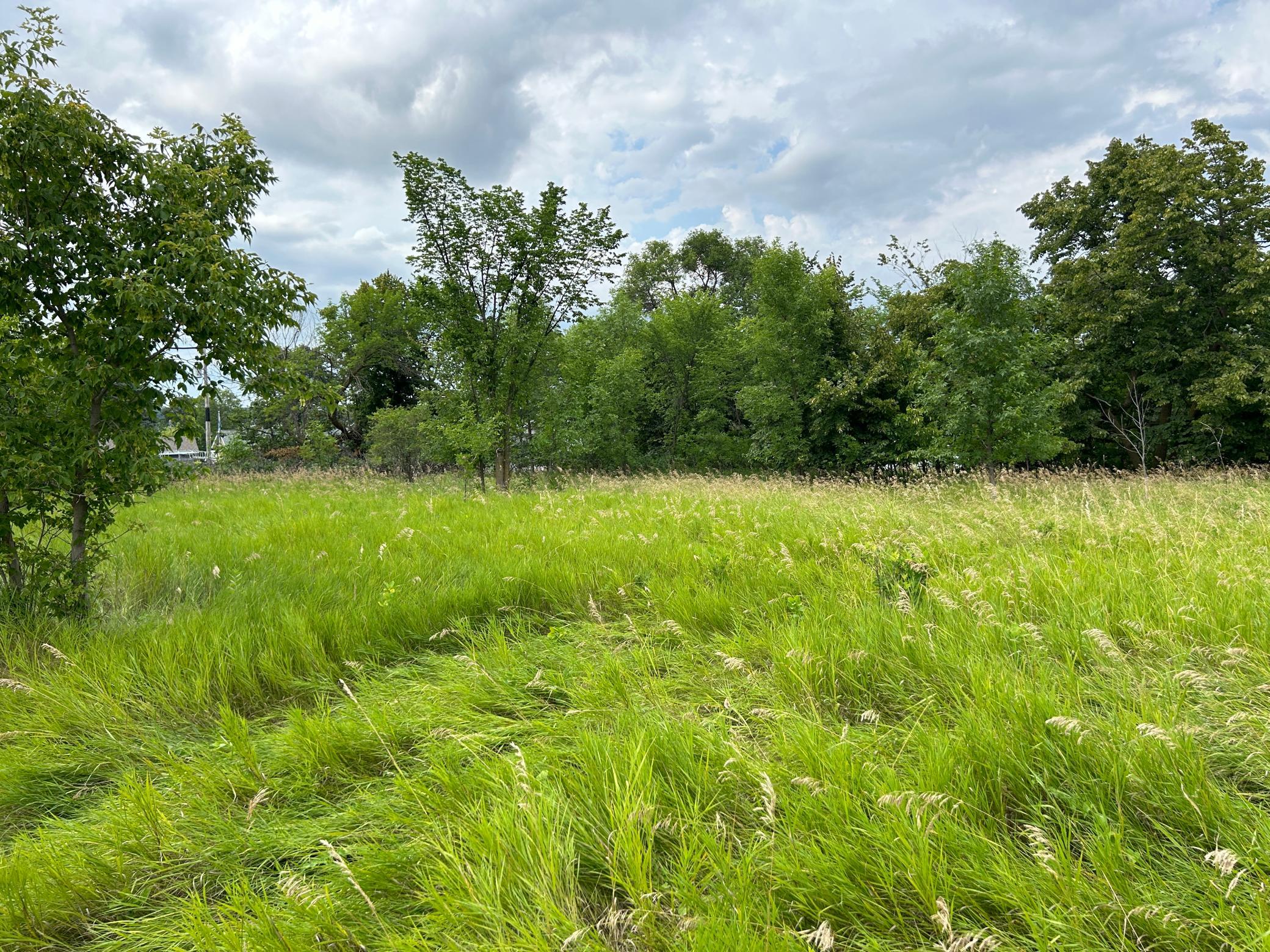 5+ Acres Of Space.JPG