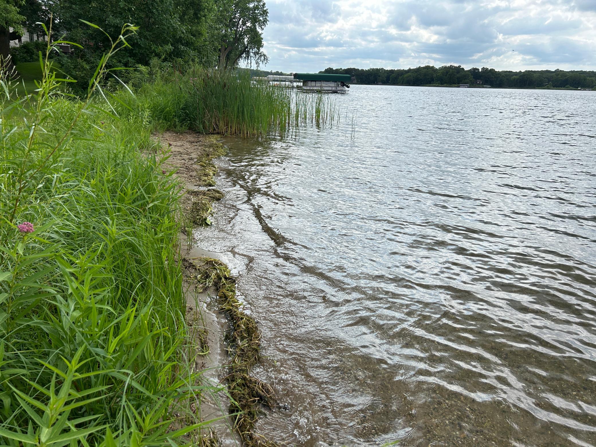 186 Feet Of Undeveloped Shoreline.JPG