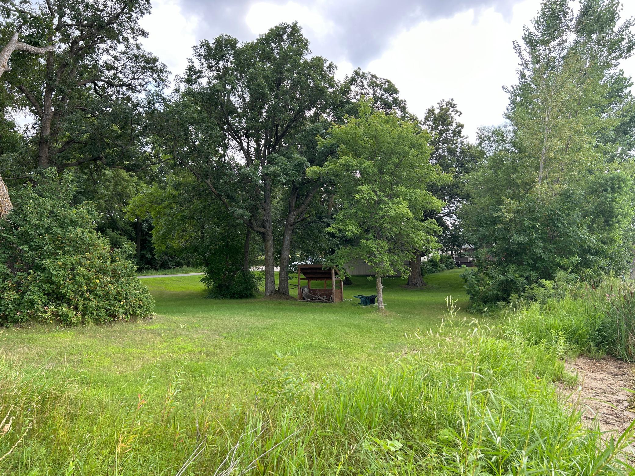 Mature Shade Trees Near The Beach.JPG