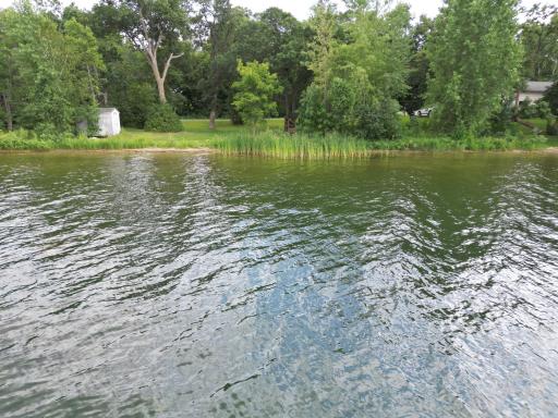 Ida Lake Property: 186 Feet Of Lake Frontage.JPG