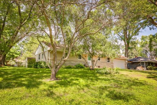 beautiful wooded lot in a quite neighborhood