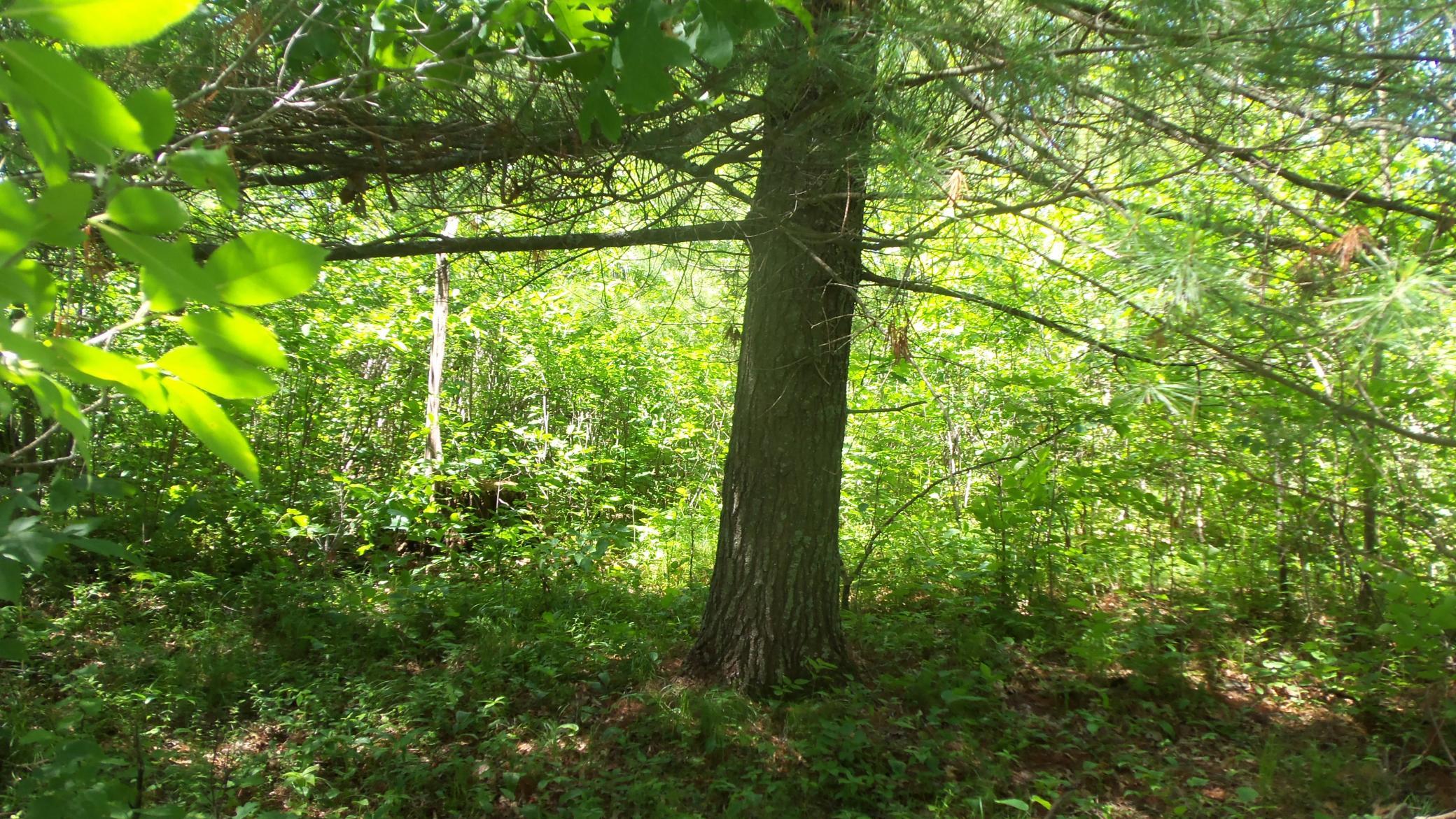 100_5409.JPG