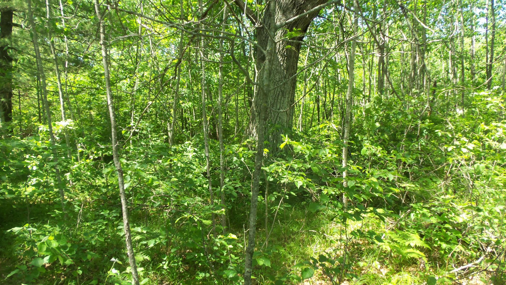 100_5406.JPG