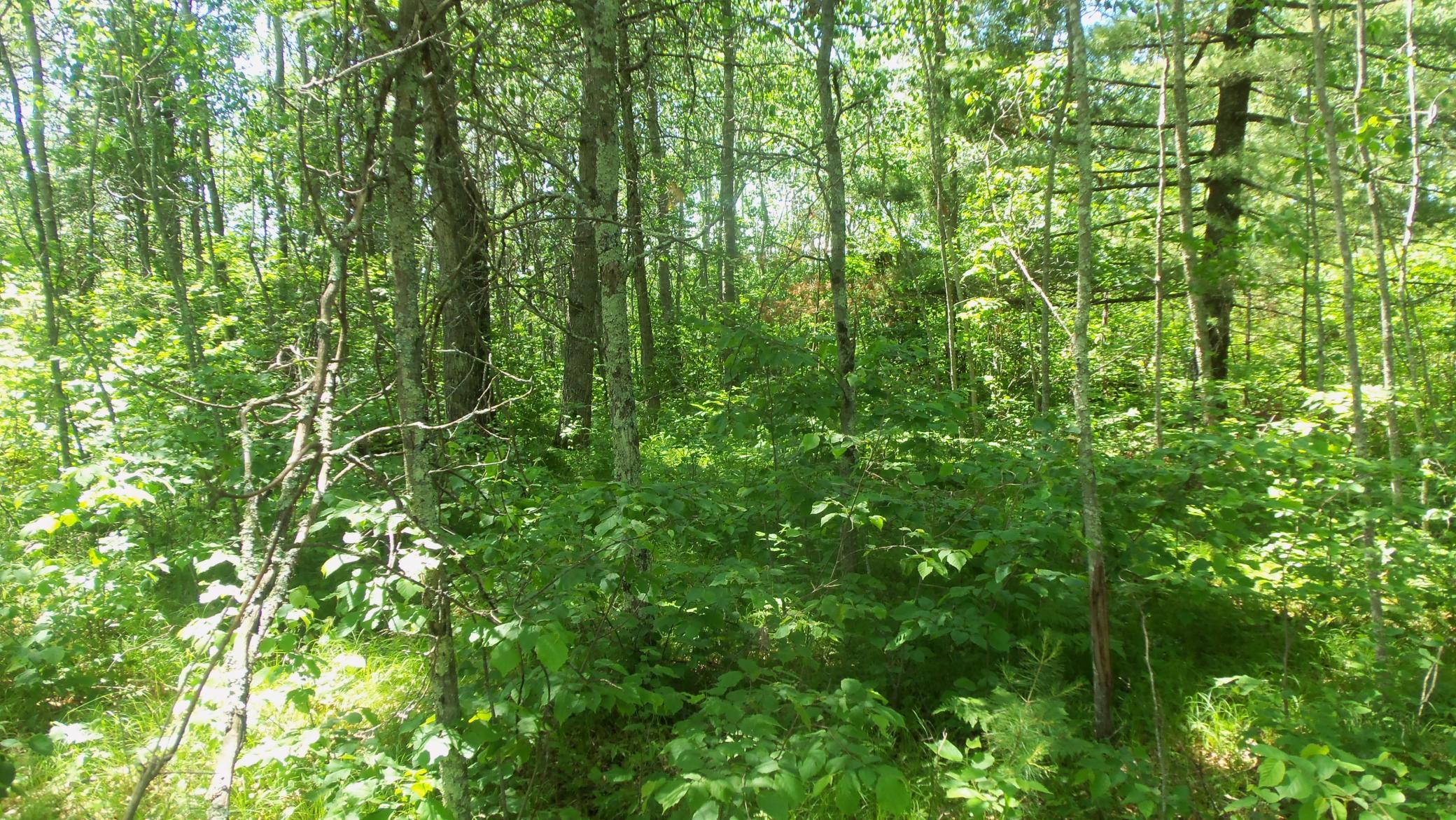 100_5407.JPG