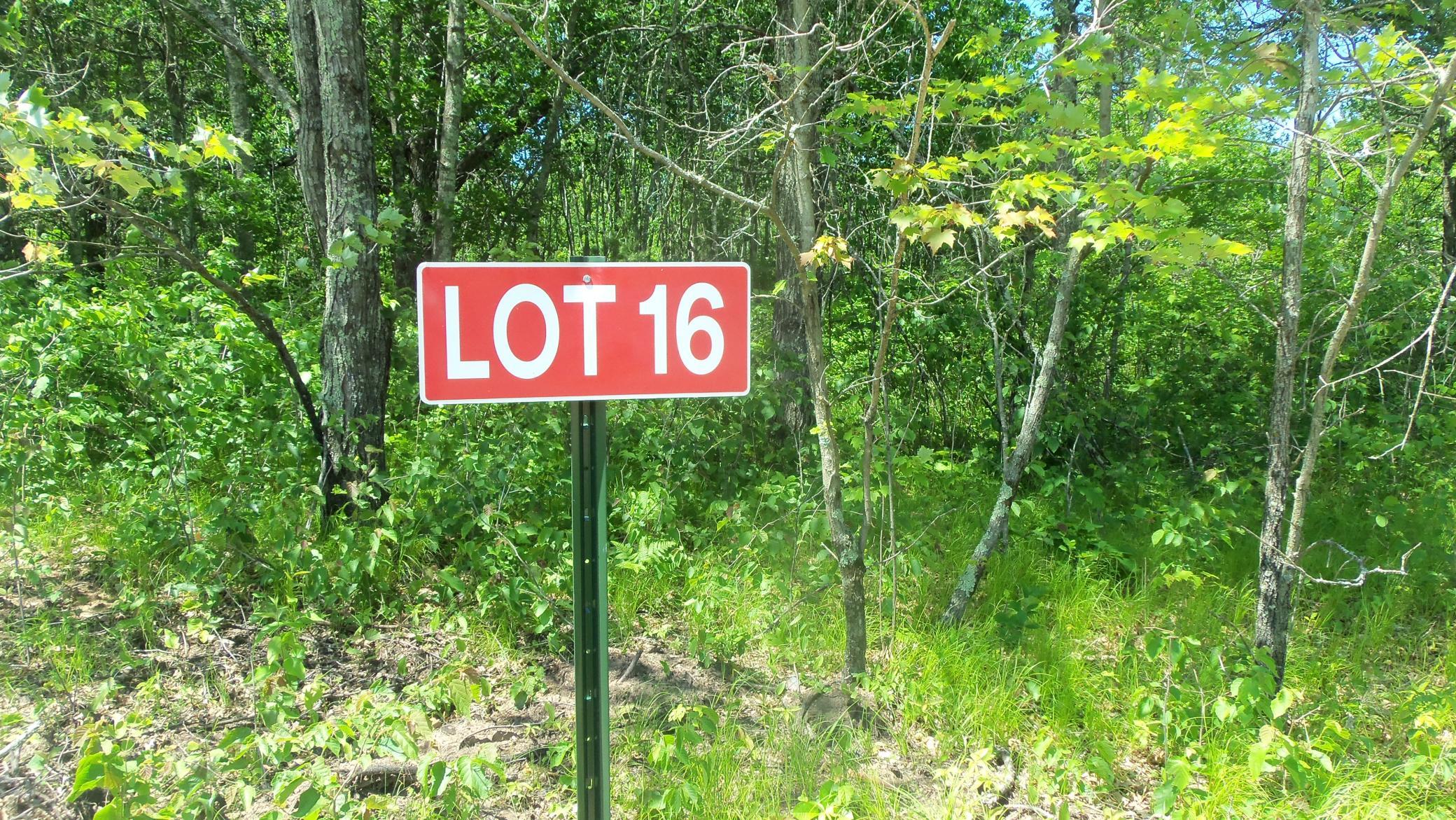 100_5404.JPG