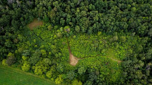 N2512 Back Valley Road, Pepin, WI 54759