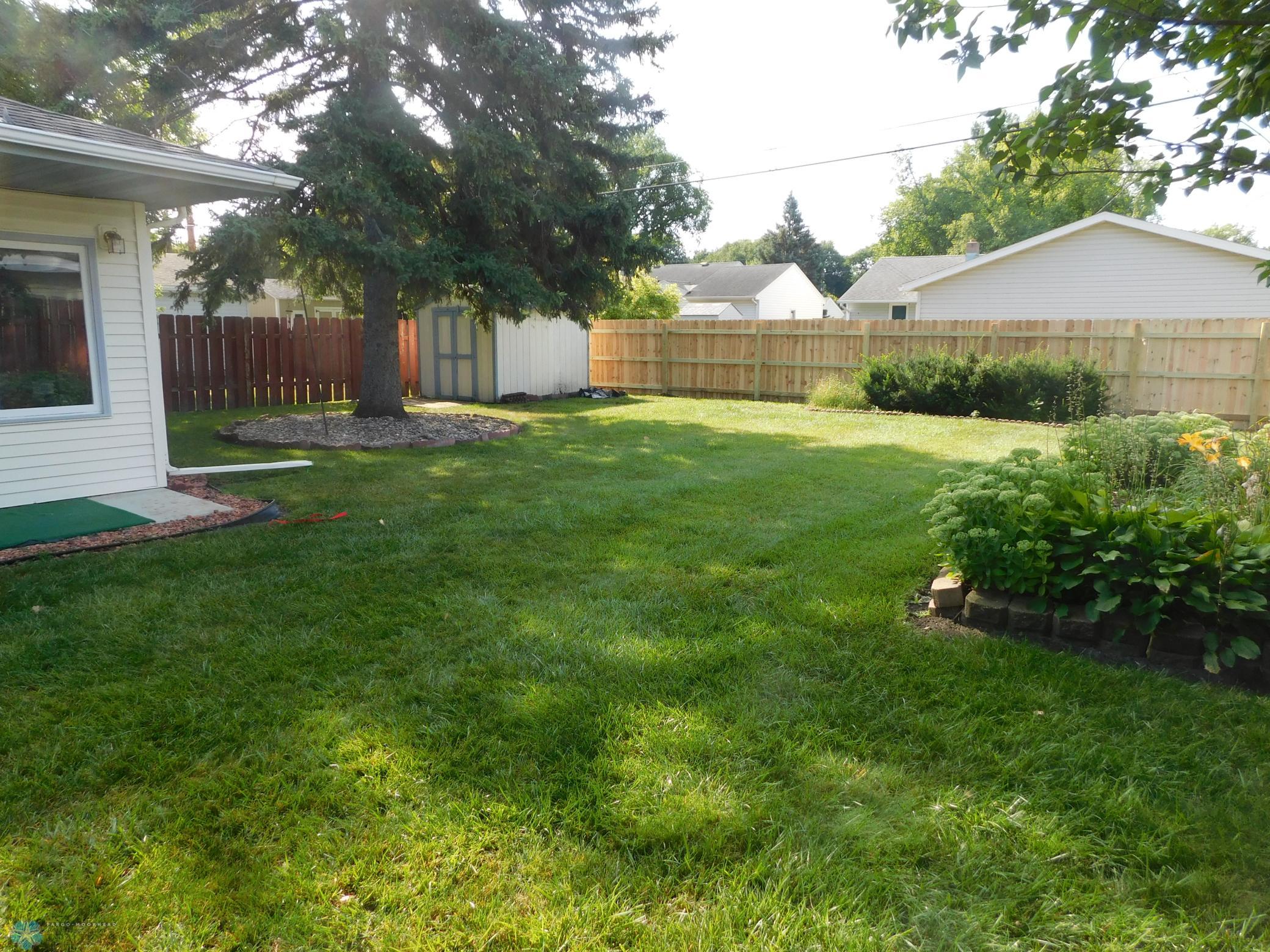back yard