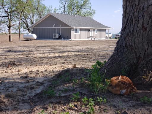 38352 Dairy Lane, Peterson, MN 55962