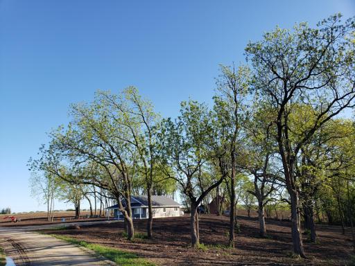 38352 Dairy Lane, Peterson, MN 55962
