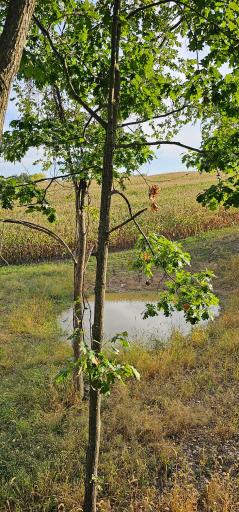 38352 Dairy Lane, Peterson, MN 55962