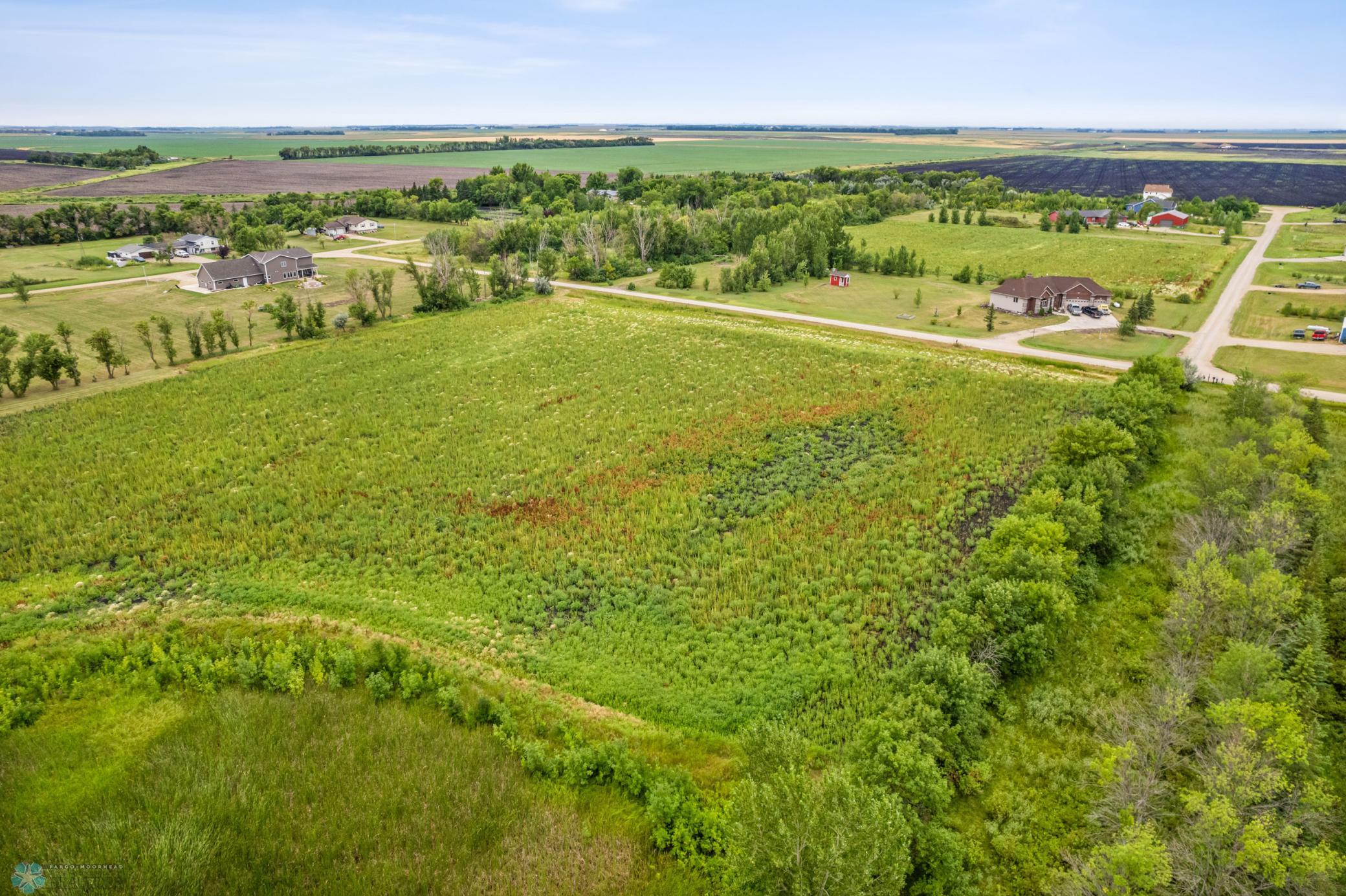 Open Field