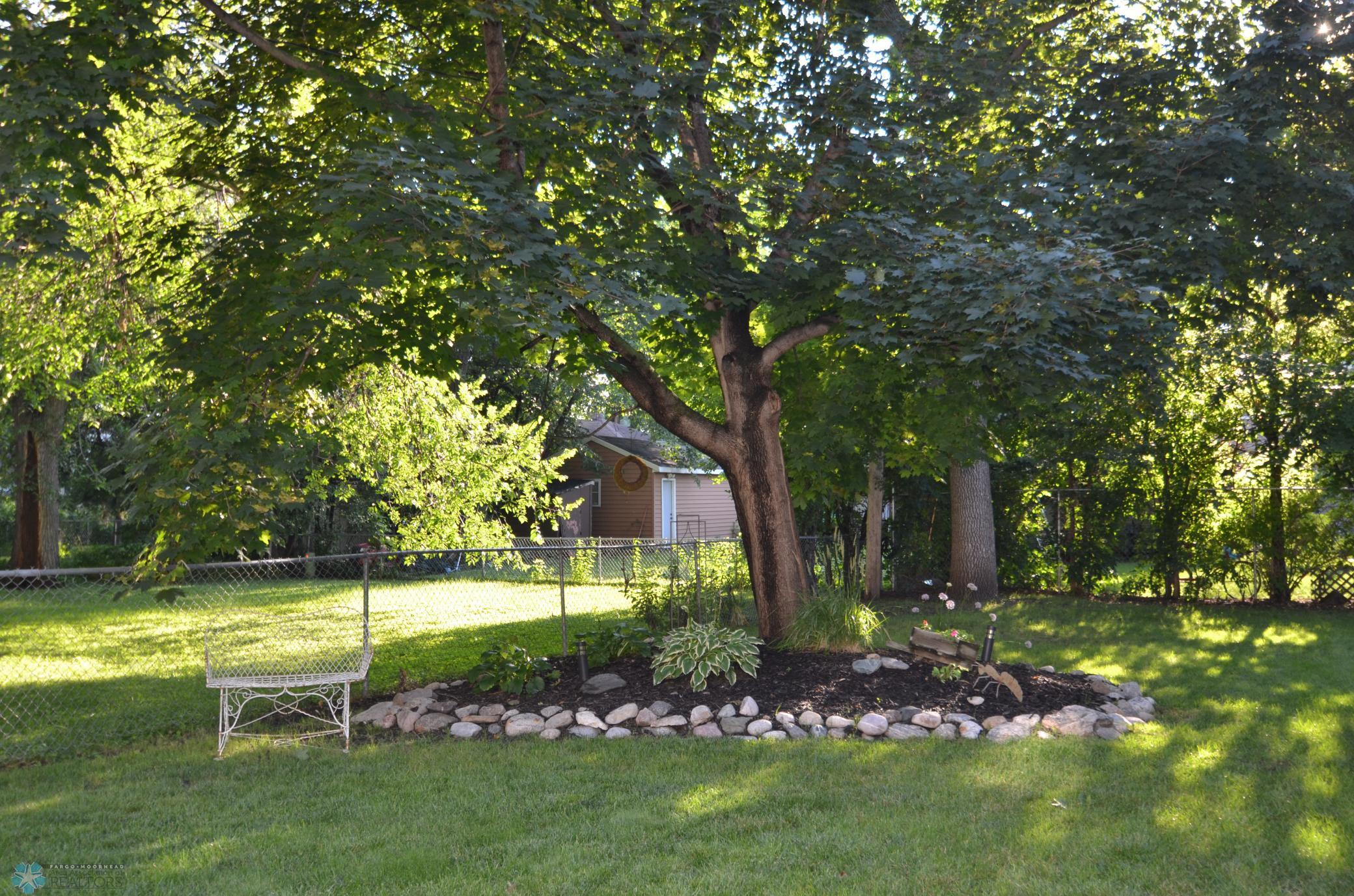 backyard, landscaping