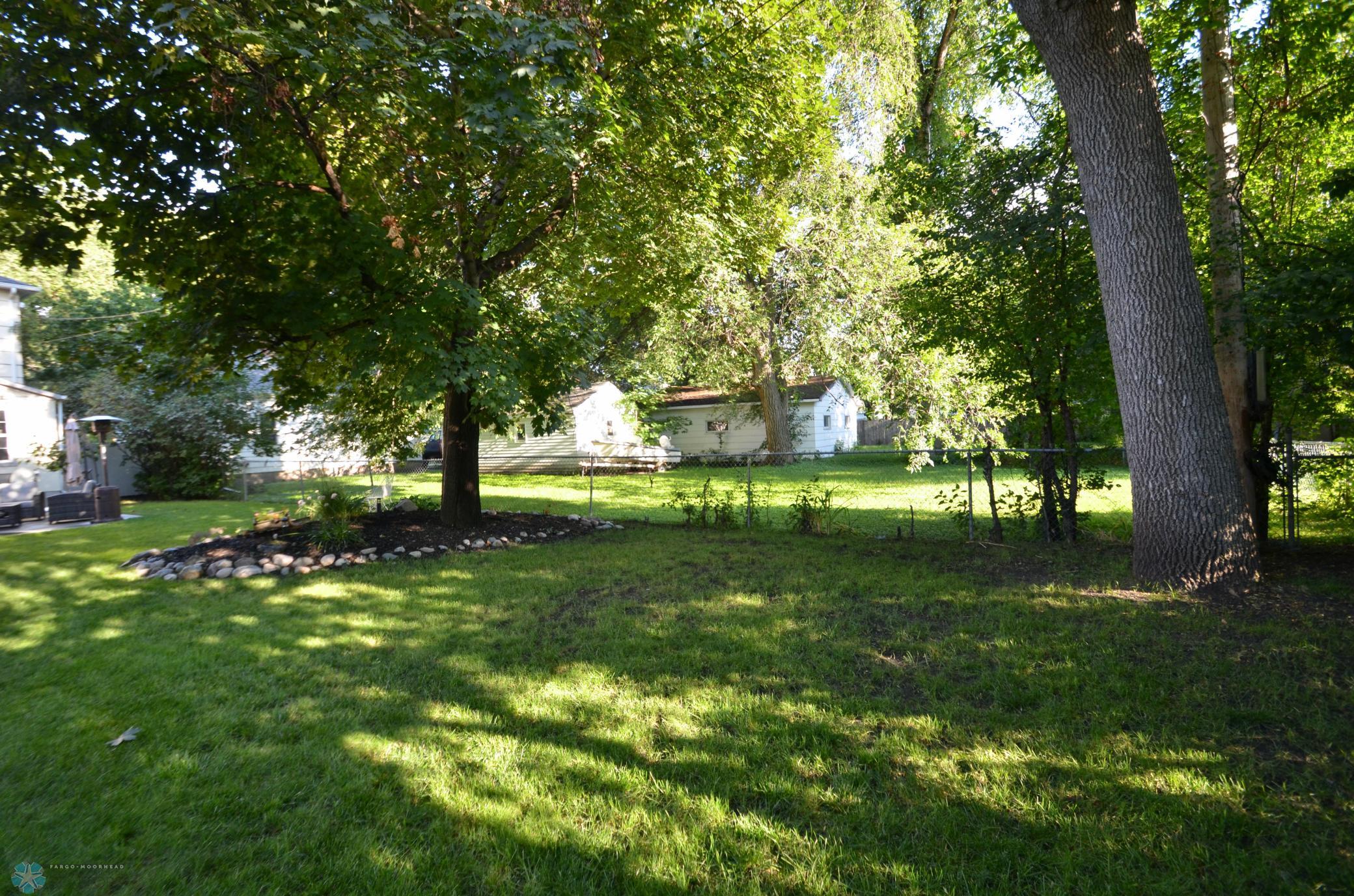 backyard.JPG