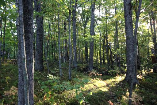 L24 B2 WB16 Scenic Overlook Drive, Breezy Point, MN 56472