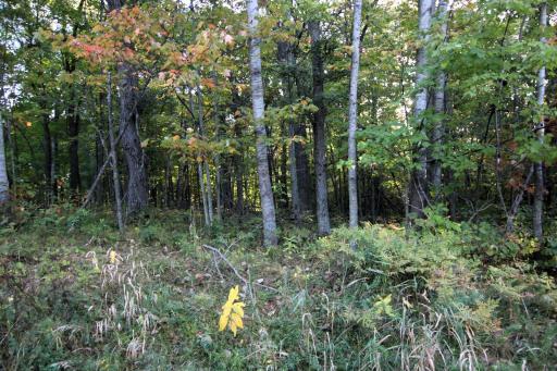 L24 B2 WB16 Scenic Overlook Drive, Breezy Point, MN 56472
