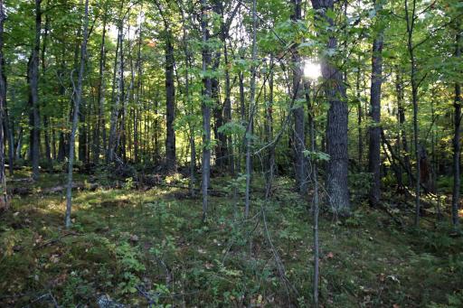 L24 B2 WB16 Scenic Overlook Drive, Breezy Point, MN 56472