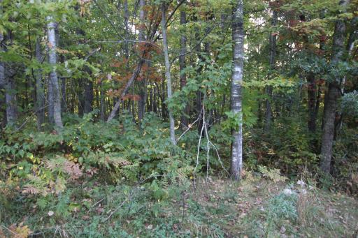 L24 B2 WB16 Scenic Overlook Drive, Breezy Point, MN 56472