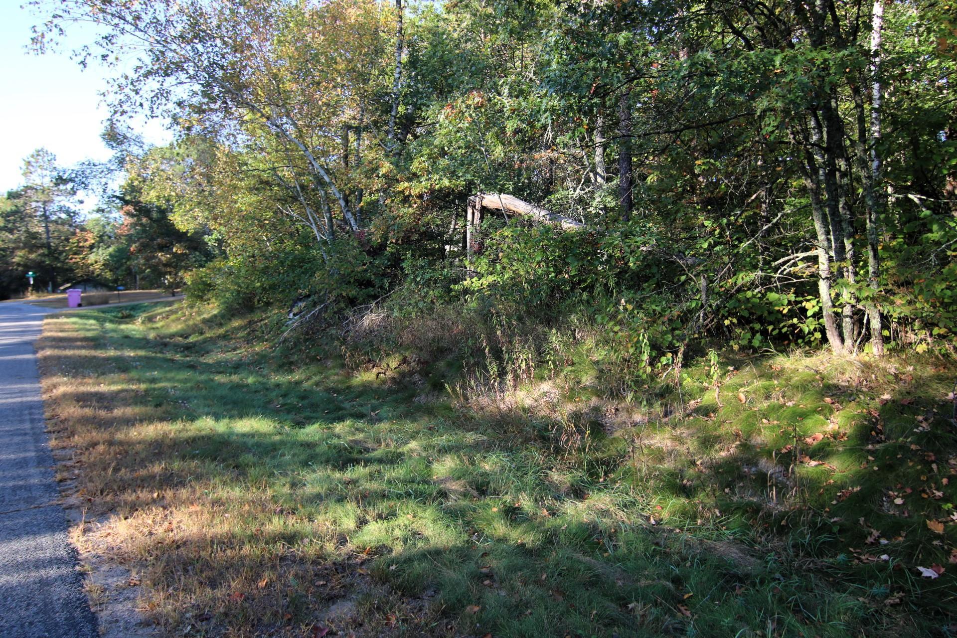 IMG_5978.JPG