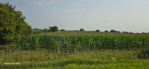 Photo for XXXXX 341st Avenue, Harmony, MN 55939 - Listing #6582744 XXXXX 341st Avenue, Harmony, MN 55939