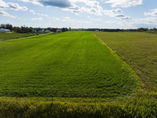 Photo for XXXXX 341st Avenue, Harmony, MN 55939 - Listing #6582744 dji_fly_20240809_173834_0605_1723489992009_photo.jpg