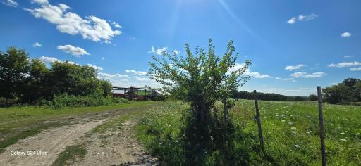 Photo for XXXXX 156th Street, Harmony, MN 55939 - Listing #6582806 XXXXX 156th Street, Harmony, MN 55939