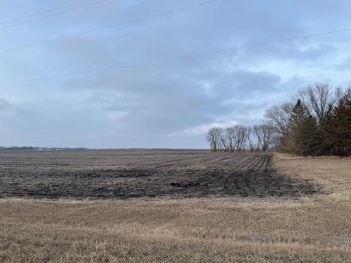 55668 171st Street, Good Thunder, MN 56037