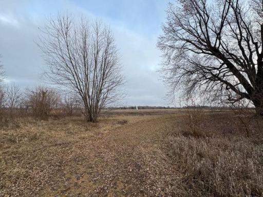 55668 171st Street, Good Thunder, MN 56037