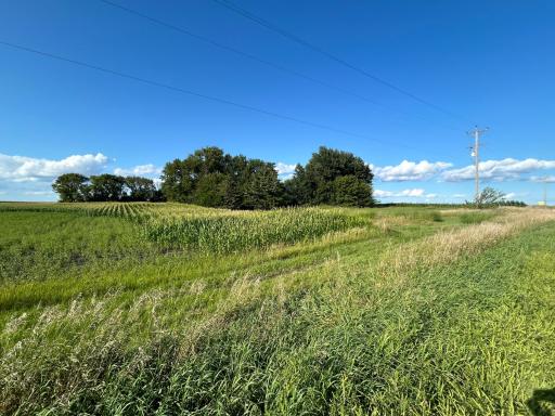 55668 171st Street, Good Thunder, MN 56037