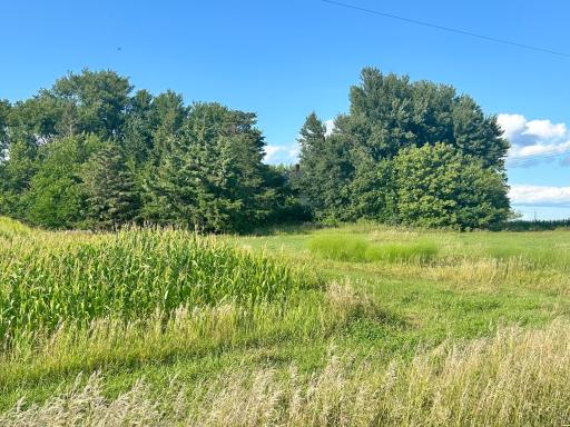 55668 171st Street, Good Thunder, MN 56037