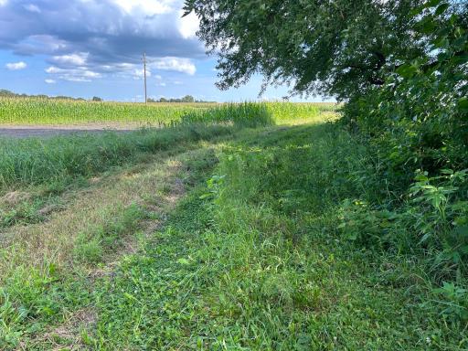 55668 171st Street, Good Thunder, MN 56037