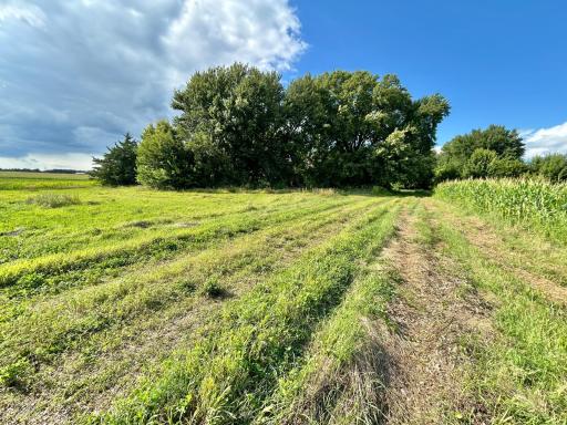 55668 171st Street, Good Thunder, MN 56037