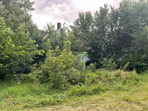 55668 171st Street, Good Thunder, MN 56037