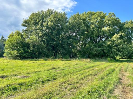 55668 171st Street, Good Thunder, MN 56037