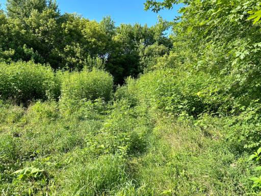55668 171st Street, Good Thunder, MN 56037