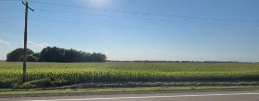 Photo for 55668 171st Street, Good Thunder, MN 56037 - listing #6582877 55668 171st Street, Good Thunder, MN 56037