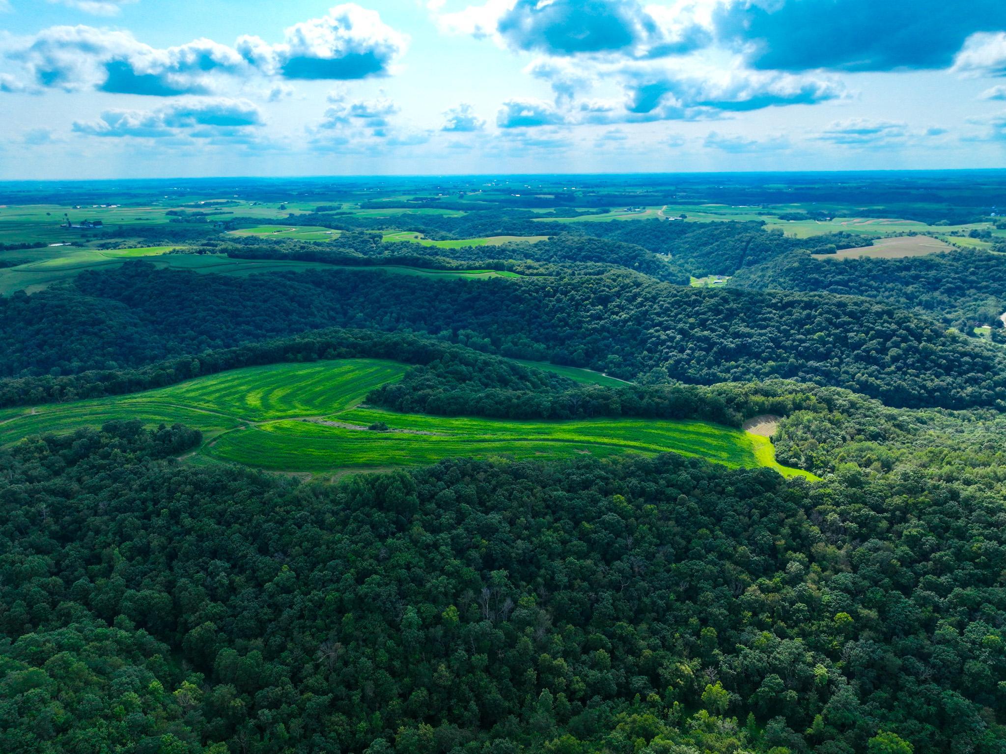 DJI_0242.jpg